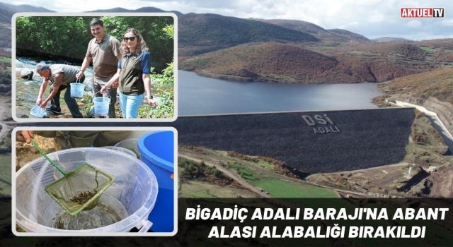 Bigadiç Adalı Barajı’na Abant Alası Alabalığı bırakıldı
