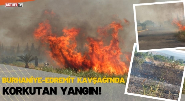 Burhaniye-Edremit Kavşağında Korkutan Yangın!