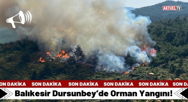 Dursunbey’de Orman Yangını!