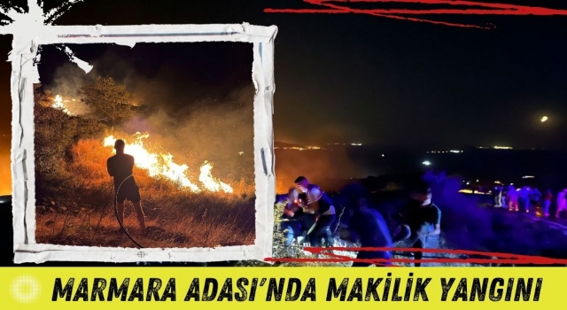 Marmara Adası'nda Makilik Yangını