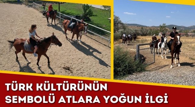 Türk Kültürünün Sembolü Atlara Yoğun İlgi