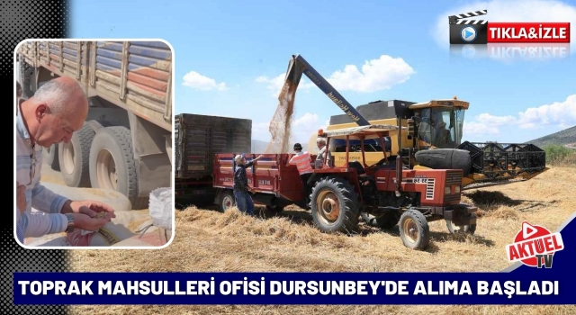 Toprak Mahsulleri Ofisi Dursunbey'de Alıma Başladı