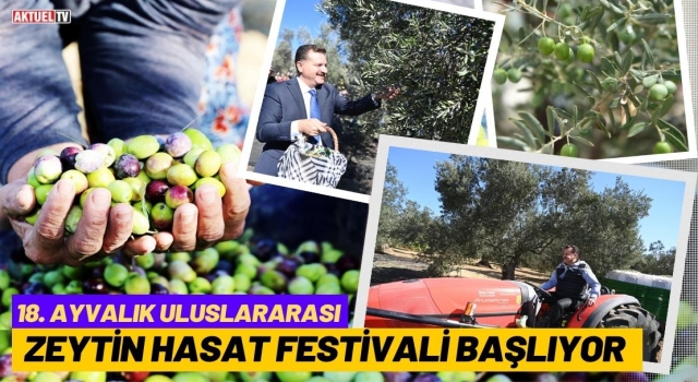 Balıkesir Zeytin Hasat Festivali Başlıyor