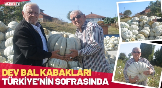 Dev Bal Kabakları Türkiye’nin Sofrasında