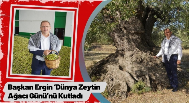 Başkan Ergin ‘Dünya Zeytin Ağacı Günü’nü Kutladı