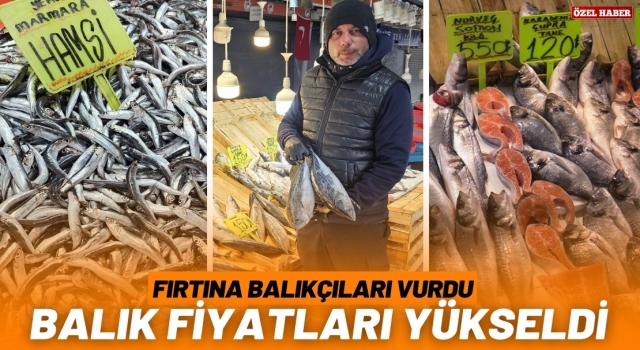 Marmara'daki fırtına balık fiyatlarını etkiledi  