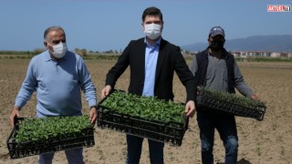 Edremit Belediyesinin Tarıma Desteği Sürüyor