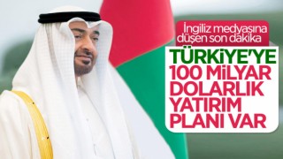 BAE Türkiye'ye 100 Milyar dolar yatırım yapacak