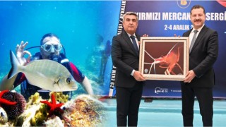 Türkiye’nin en büyük sualtı fotoğraf sergisi Balıkesir’de