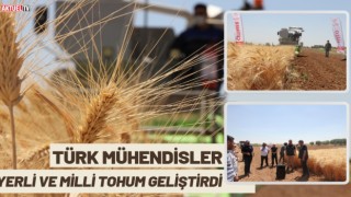 Türk Mühendisler Yerli ve Milli Tohum Geliştirdi