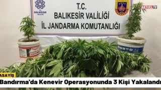 Bandırma'da Kenevir Operasyonunda 3 Kişi Yakalandı