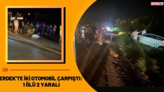 Erdek'te İki Otomobil Çarpıştı: 1 Ölü, 2 Yaralı