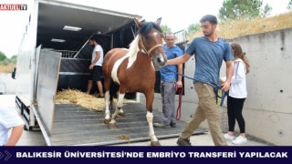 Balıkesir Üniversitesi’nde Embriyo Transferi Yapılacak