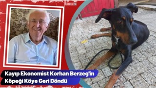 Kayıp Ekonomist Korhan Berzeg'in Köpeği Köye Geri Döndü