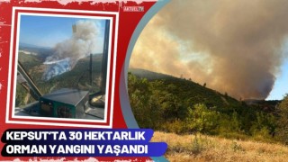 Kepsut’ta 30 Hektarlık Orman Yangını Yaşandı