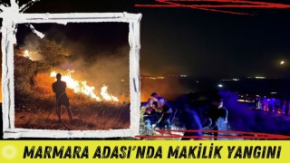 Marmara Adası'nda Makilik Yangını