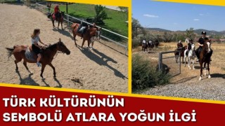 Türk Kültürünün Sembolü Atlara Yoğun İlgi