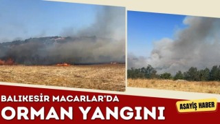 Balıkesir Macarlar'da Arazi Yangını