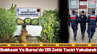 Balıkesir Ve Bursa’da 135 Zehir Taciri Yakalandı