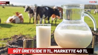 Süt Üreticide 11 TL , Markette 40 TL