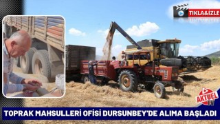 Toprak Mahsulleri Ofisi Dursunbey'de Alıma Başladı
