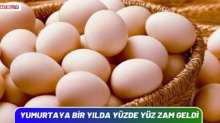 Yumurta Bir Yılda Yüzde Yüz Zamlandı