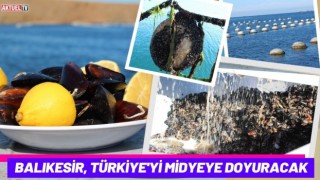 Balıkesir, Türkiye'yi Midyeye Doyuracak
