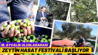 Balıkesir Zeytin Hasat Festivali Başlıyor