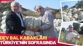 Dev Bal Kabakları Türkiye’nin Sofrasında