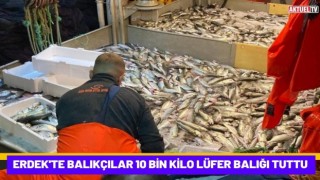 Erdek'te Balıkçılar 10 Bin Kilo Lüfer Balığı Tuttu