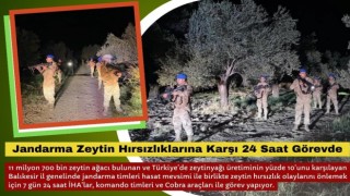 Jandarma Zeytin Hırsızlıklarına Karşı 24 Saat Görevde