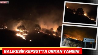 Balıkesir Kepsut’ta Orman Yangını