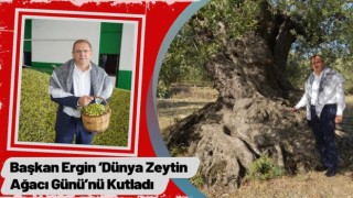 Başkan Ergin ‘Dünya Zeytin Ağacı Günü’nü Kutladı