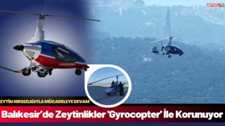 Balıkesir’de Zeytinlikler 'Gyrocopter' İle Korunuyor