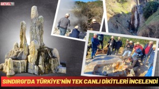 Sındırgı’da Türkiye’nin Tek Canlı Dikitleri İncelendi