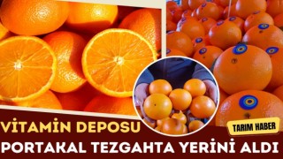 Vitamin Deposu Portakal Tezgahta Yerini Aldı