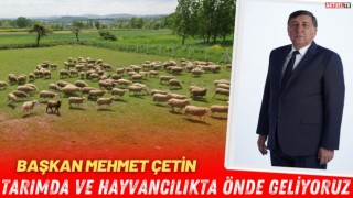 Başkan Çetin: "Tarım ve Hayvancılıkta Türkiye’nin Önde Gelen İliyiz"
