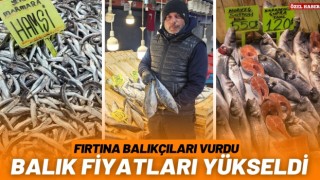 Marmara'daki fırtına balık fiyatlarını etkiledi  