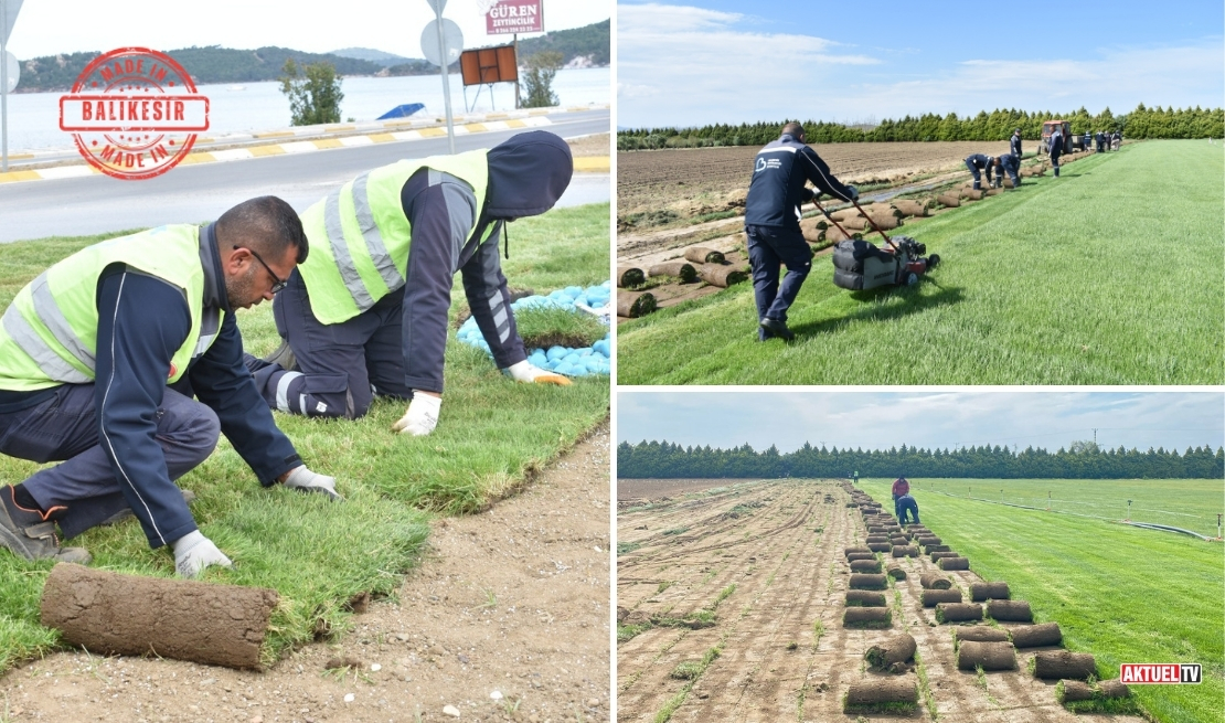 Balıkesir Büyükşehir Belediyesi, BAÇEM yerleşkesinde 14.200 metrekarelik alanda rulo çim