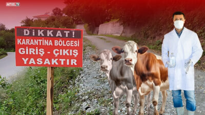 Balıkesir’in Gönen ilçesinde büyükbaş hayvanlarda şap hastalığı tespit edilmesinin ardından,