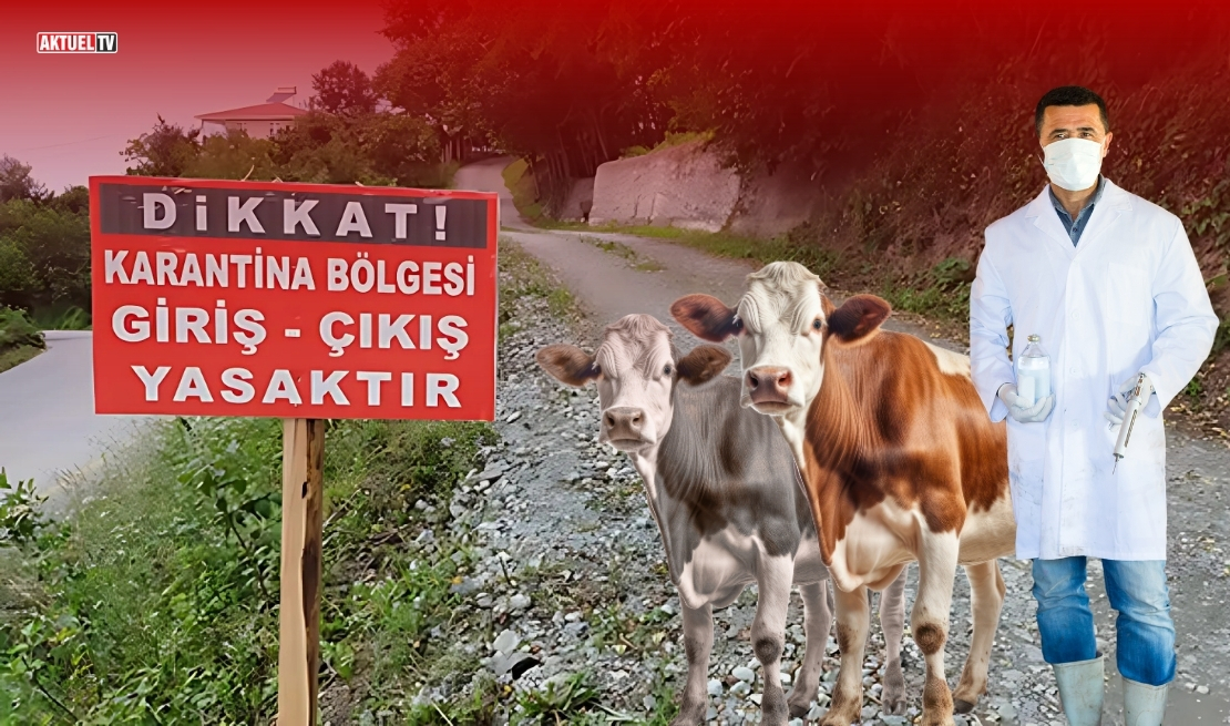 Balıkesir’in Gönen ilçesinde büyükbaş hayvanlarda şap hastalığı tespit edilmesinin ardından,