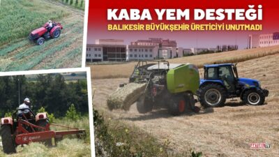 Balıkesir Büyükşehir Belediyesi, koyun yetiştiriciliğini desteklemek ve damızlık koyun üretim
