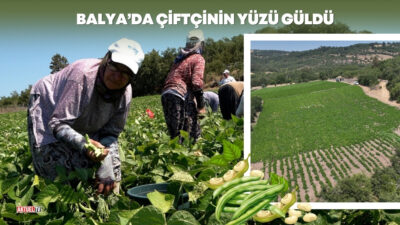 Tarımsal kalkınmayı sağlamak için çiftçiye yönelik destekleri artıran Balıkesir Büyükşehir