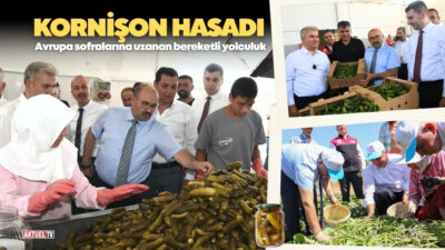 Avrupa sofralarına uzanan bereketli yolculuk yeniden başladı. Bölgenin önemli geçim