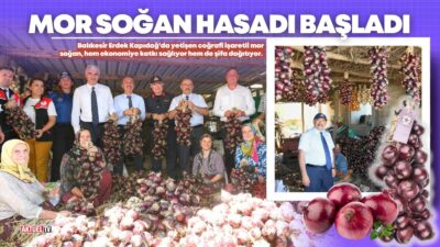 Balıkesir Erdek Kapıdağ’da yetişen coğrafi işaretli mor soğan, hem ekonomiye