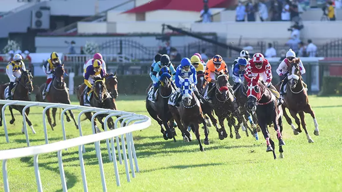 Sultansuyu Tarım İşletmesi’nde yetiştirilen 15 safkan elit Arap tayı, 21
