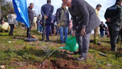 Ayvalık Belediye Başkanı Mesut Ergin, 21 Mart Dünya Ormancılık Günü