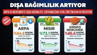 Bir zamanlar kendine yeten ülkemizde, mısır, arpa ve kırmızı mercimek