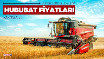 TMO, 1,3 milyon ton buğday stokunun satışını yeni hasat dönemine