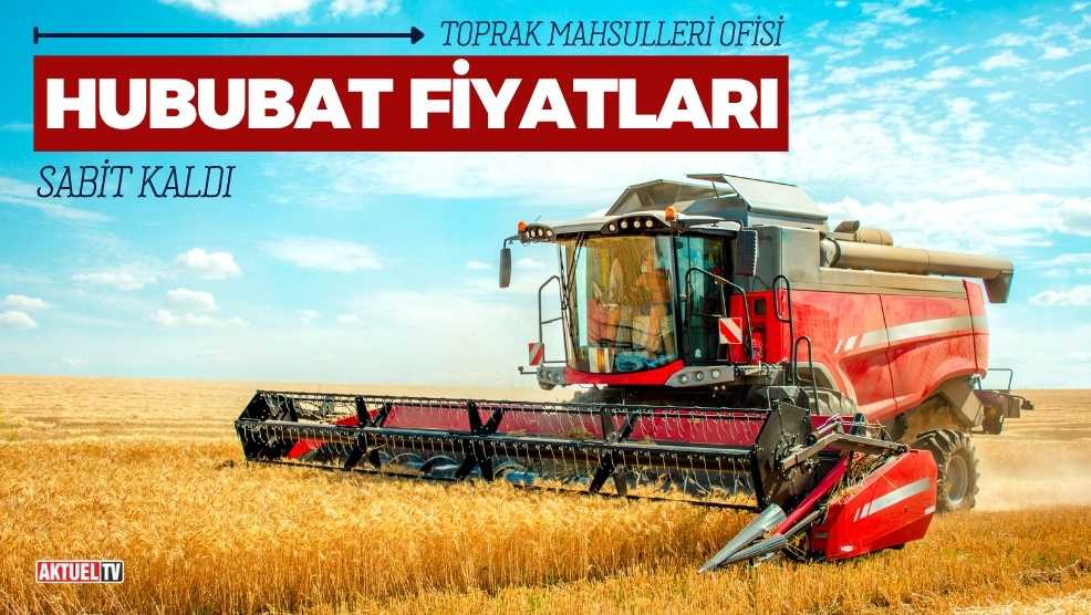 TMO, 1,3 milyon ton buğday stokunun satışını yeni hasat dönemine